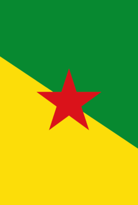 Le drapeau de la Guyane est affiché sur un fond clair. Il est divisé en deux triangles diagonaux : le triangle supérieur est vert et le triangle inférieur est jaune. Au centre, une étoile rouge à cinq branches symbolise le socialisme et la lutte pour la liberté. Ce drapeau incarne l'identité unique et la richesse culturelle de la Guyane.