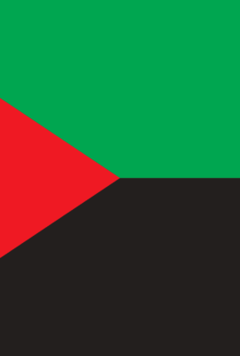 Le drapeau de la Martinique avec ces 3 couleurs (rouge, noir, vert).