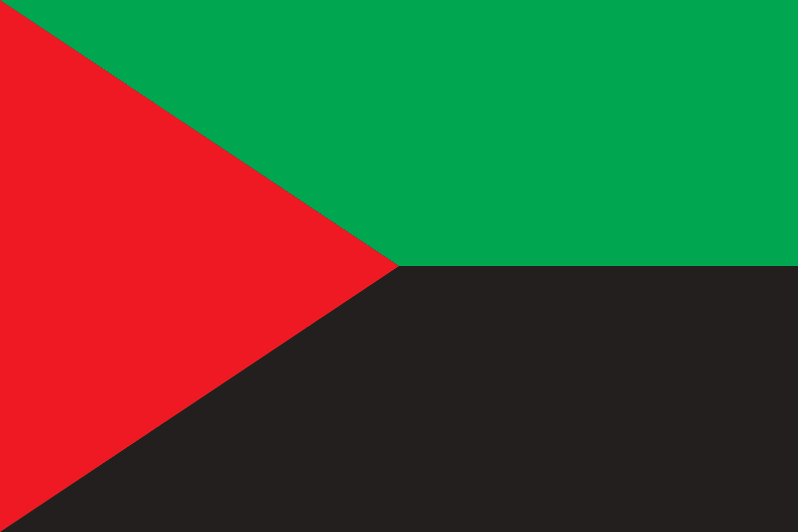 Le drapeau de la Martinique avec ces 3 couleurs (rouge, noir, vert).