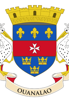 Le drapeau de Saint-Barthélemy est affiché sur un fond clair. Il présente un blason central sur un fond blanc. Le blason est divisé en quatre parties avec des éléments distinctifs : une couronne, des fleurs de lys, une tour, et des palmiers. Ce drapeau incarne l'identité unique et la richesse culturelle de Saint-Barthélemy.